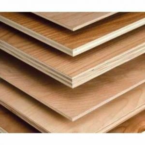 Hardwood Plywood